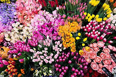 《帝国时代》开发商招募高级设计师 粉丝希望开发《神话时代》