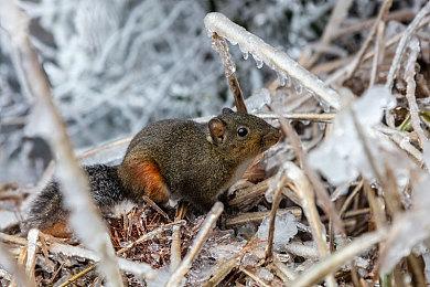 《地狱之刃2》新预告公布 画面效果非常震撼